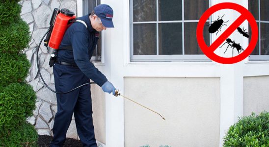 Silivri Gümüşkurt İlaçlama böcek ilaçlama ve haşere kontrolü — ilaclama-tr.com